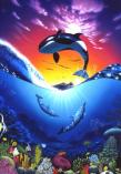 2277 Ocean Freedom  